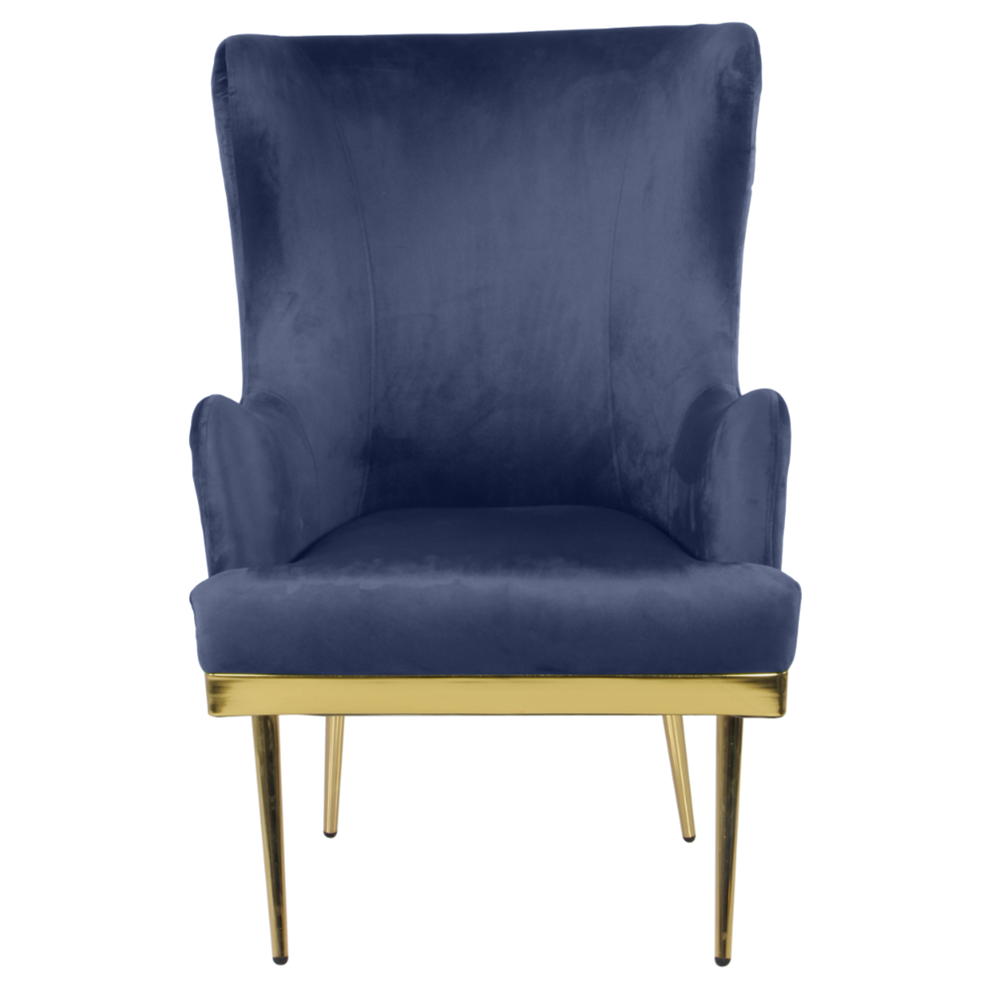 Primrose Camilla Wing Chair With Ottoman for Living Room Bedroom High Back Arm Rest Chair - Blue view 4